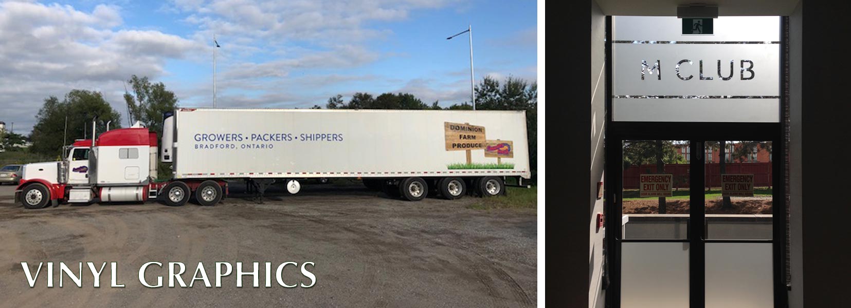 Vinyl Wraps and Decals